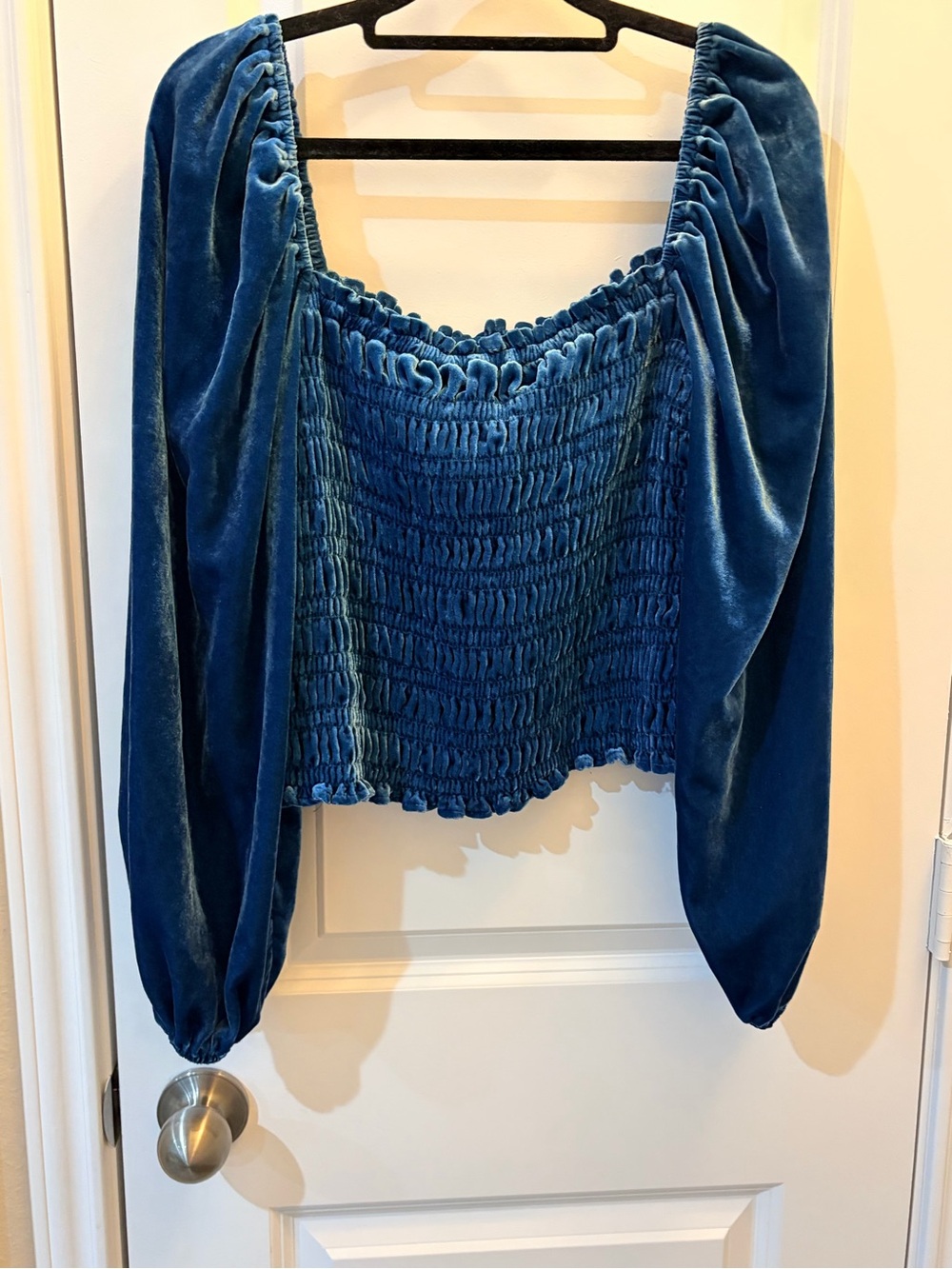 Anthropologie Teal Blue Velvet Smocked Puff-Sleeve Crop Top